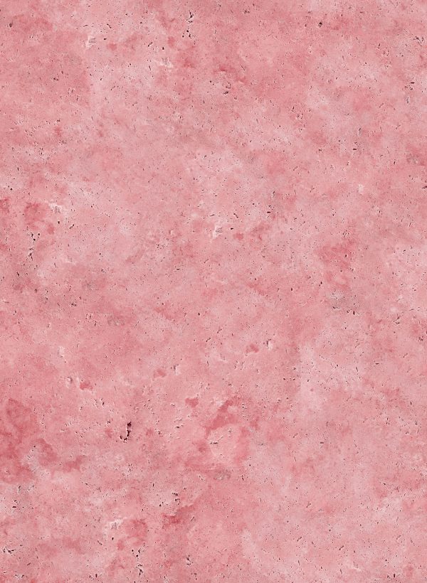 045 Mandorlo Rosa
